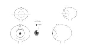 Model Sheet detalle cabeza personaje principal
